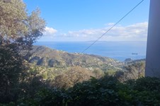 Property 65444 photo 1