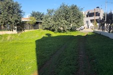 Property 65447 photo 3