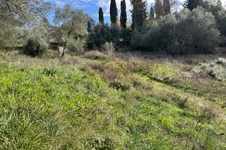 Property 65467 photo 4