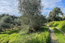 Property 65467 photo 2