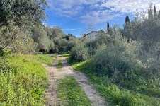 Property 65467 photo 18