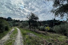 Property 65467 photo 11