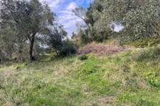 Property 65467 photo 5