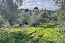 Property 65467 photo 1