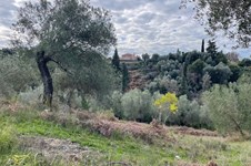 Property 65467 photo 8