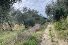 Property 65467 photo 19