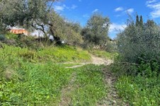 Property 65467 photo 10