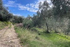 Property 65467 photo 20