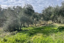 Property 65467 photo 9