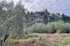 Property 65467 photo 12