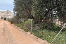 Property 65472 photo 8