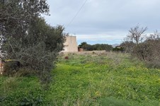 Property 65472 photo 7