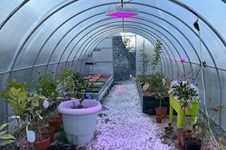 Property 65473 photo 35