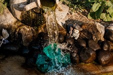 Property 65473 photo 13