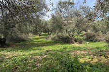 Property 65485 photo 4