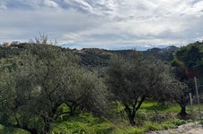 Property 65485 photo 2