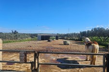 Property 65489 photo 42