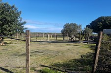 Property 65489 photo 26