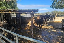 Property 65489 photo 33