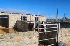 Property 65489 photo 40