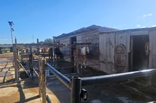 Property 65489 photo 41