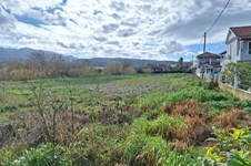 Property 65497 photo 8