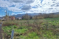 Property 65497 photo 9