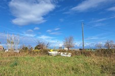 Property 65497 photo 4