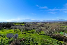 Property 65501 photo 16