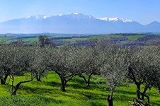 Property 65501 photo 31