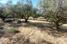 Property 65514 photo 4