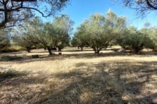 Property 65514 photo 2