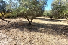 Property 65514 photo 1