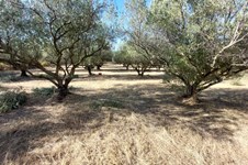 Property 65514 photo 3