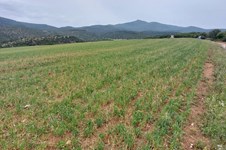 Property 65515 photo 2