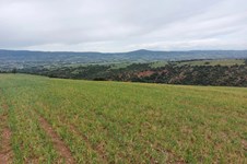 Property 65515 photo 5