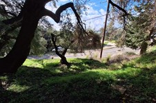 Property 65531 photo 10