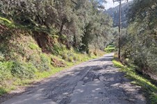 Property 65531 photo 14