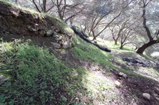 Property 65531 photo 7