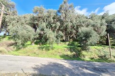 Property 65531 photo 15