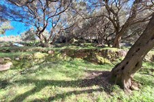 Property 65531 photo 4