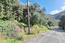 Property 65531 photo 13