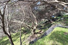 Property 65531 photo 8