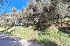 Property 65531 photo 12