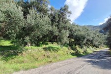 Property 65531 photo 11