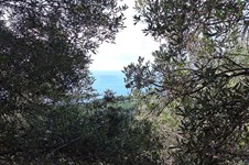 Property 65531 photo 2