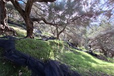 Property 65531 photo 5