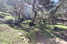 Property 65531 photo 9