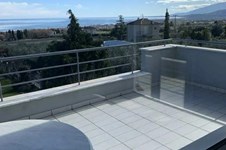 Property 65535 photo 1