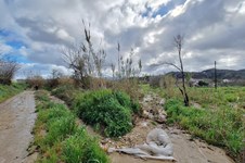 Property 65540 photo 8